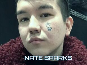 NATE_SPARKS