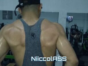NiiccolASS