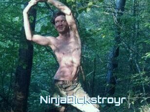 NinjaDickstroyr