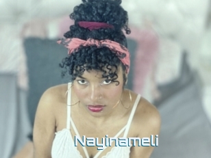 Nayinameli