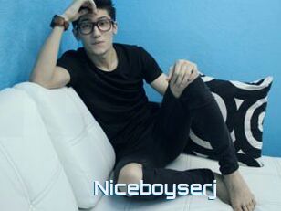 Niceboyserj