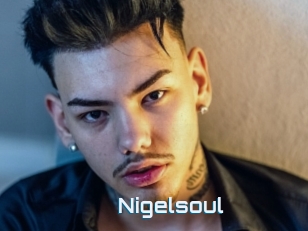 Nigelsoul