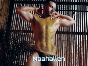 Noahallen