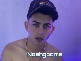 Noahgooms
