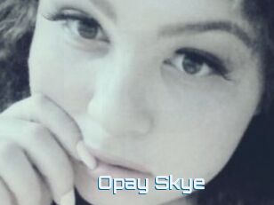 Opay_Skye