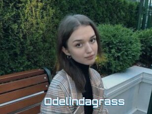 Odelindagrass