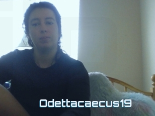 Odettacaecus19