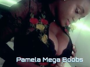 Pamela_Mega_Boobs