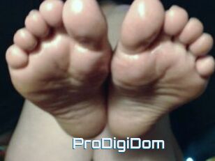 ProDigiDom