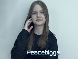 Peacebigge