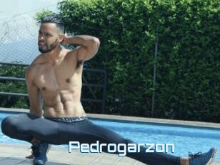 Pedrogarzon