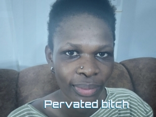 pervated_bitch I Link Porn