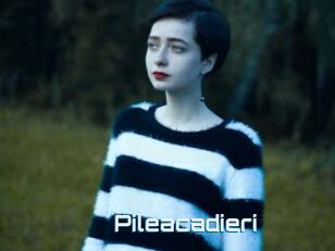 Pileacadieri
