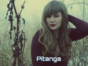 Pitanga