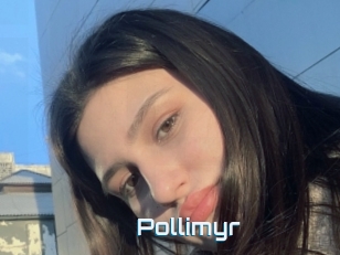 Pollimyr