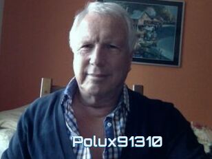 Polux91310