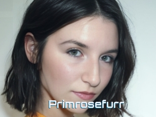 Primrosefurr