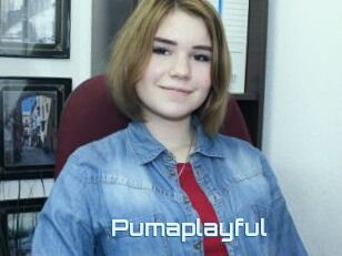 Pumaplayful