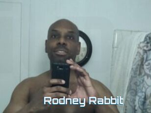 Rodney_Rabbit