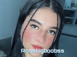 Rosebigboobss