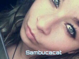 Sambucacat