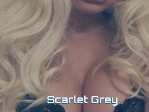 Scarlet_Grey