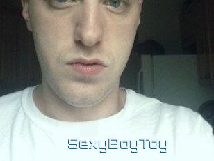 SexyBoyToy
