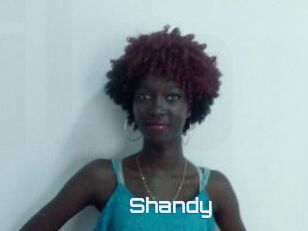 Shandy