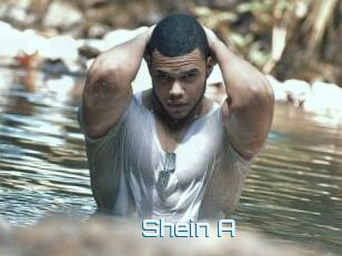 Shein_A