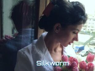 Silkworm