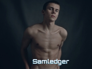 Samledger