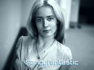 Sandyfantastic