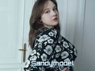 Sandymodel
