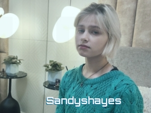 Sandyshayes