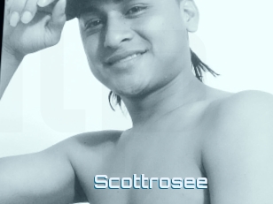 Scottrosee