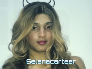 Selenacarteer