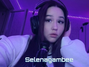 Selenagambee