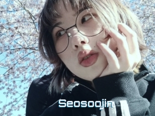 Seosoojin