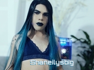 Shaneilysbig