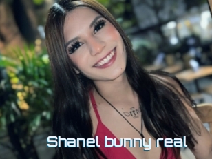 Shanel_bunny_real