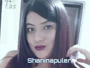 Shaninapuleri