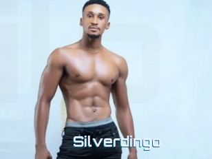 silverdingo I Link Porn