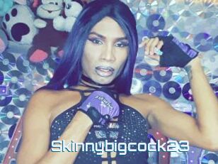 Skinnybigcock23