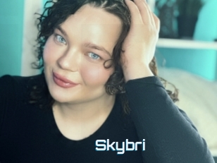 Skybri