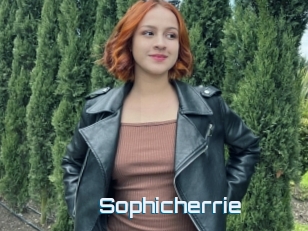 Sophicherrie