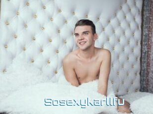 Sosexykarllfu