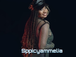 Sppicyammelia