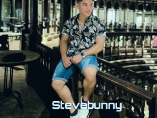 Stevebunny