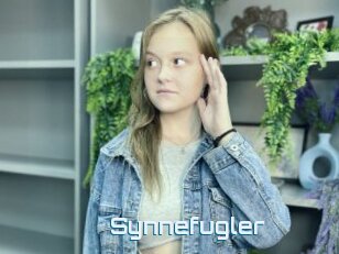 Synnefugler