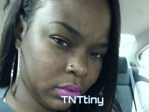 T_N_Ttiny